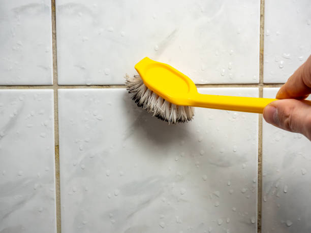 Best Professional Mold Removal  in Williamsburg, KY
